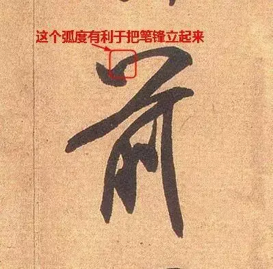 张文史_文史张家康_文史张小宇