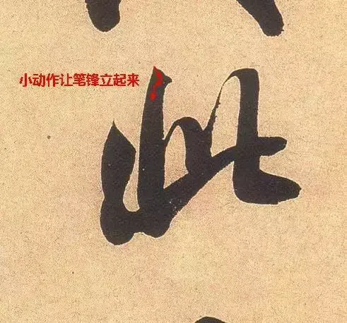 文史张家康_文史张小宇_张文史