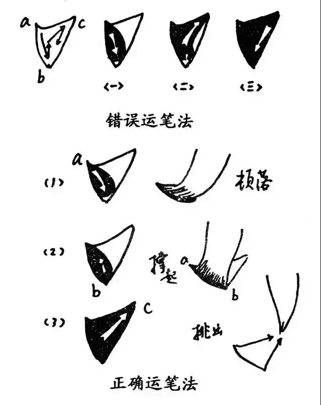 文史张在军_张文史_文史张家康