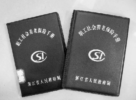 个人交纳社会养老保险_养老保险个人缴纳社保_交纳养老保险社会个人怎么交