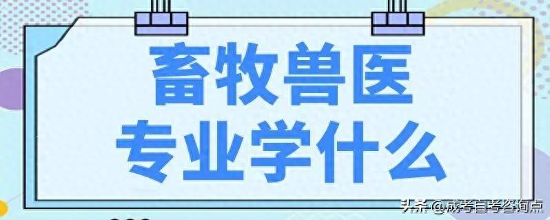 畜牧兽医专业成人高考专科介绍附最新院校报考流程