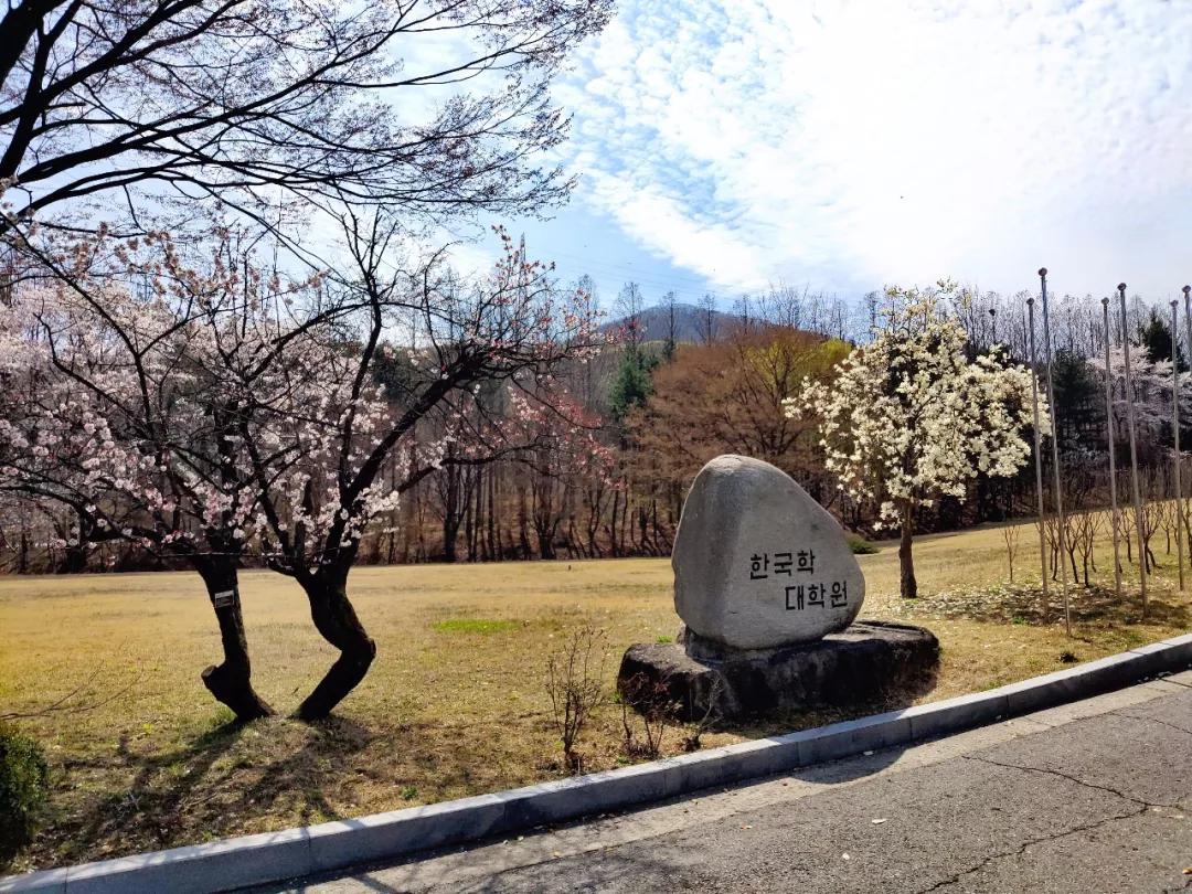 韩国学_韩国学生累还是日本学生累_韩国学校倒闭