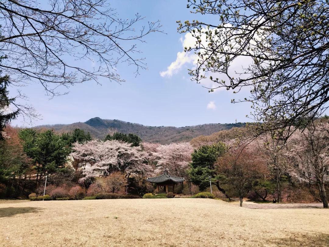 韩国学校倒闭_韩国学_韩国学生累还是日本学生累