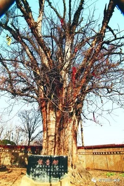 名人历史沈姓有哪些_关于沈姓的历史名人_名人历史沈姓排名