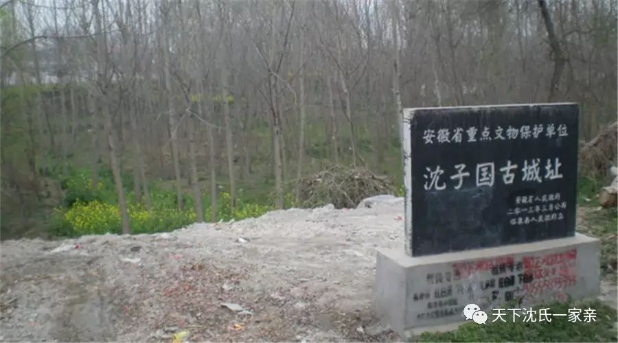 关于沈姓的历史名人_名人历史沈姓排名_名人历史沈姓有哪些