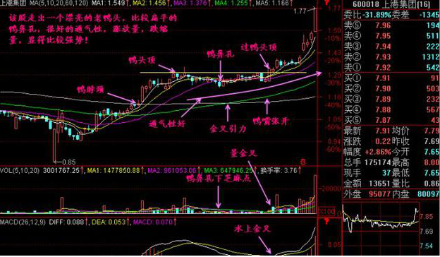 格力电器股价历史回顾分析报告_格力电器历史股价_格力电器股价历史最高