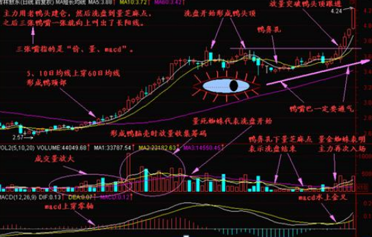 格力电器股价历史回顾分析报告_格力电器股价历史最高_格力电器历史股价