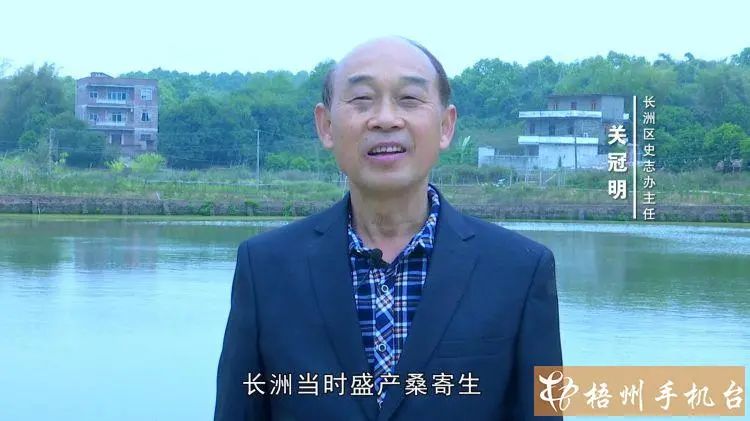 广西文史馆_广西文史研究馆_广西文史馆研究院馆长