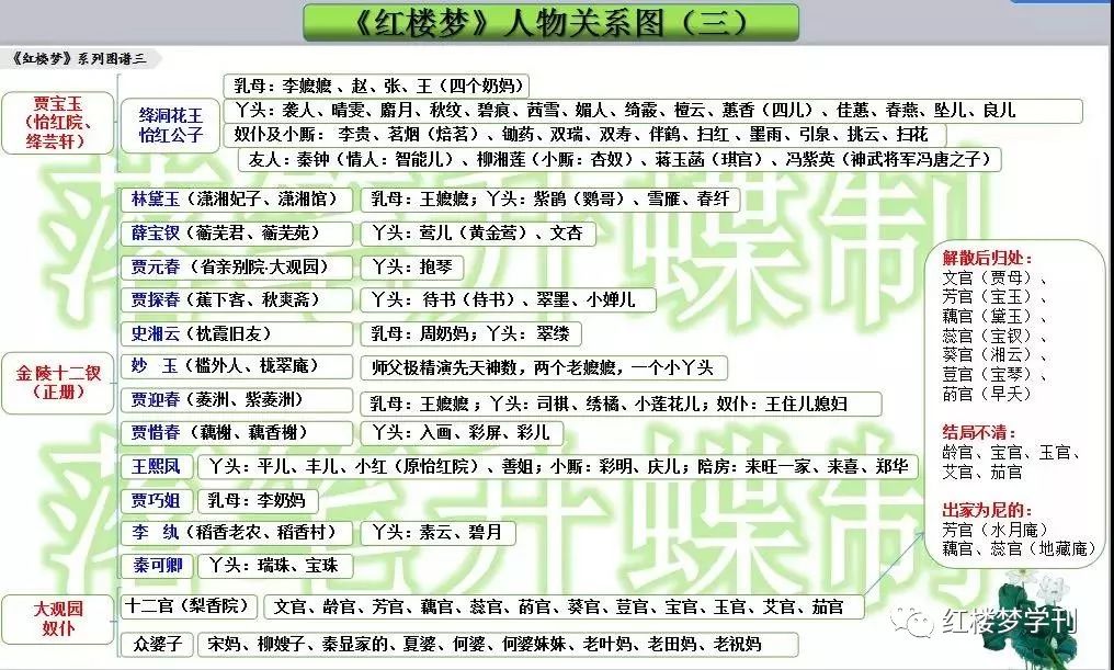 人物红楼梦关系图高清_红楼梦人物关系图_人物红楼梦关系图简笔画