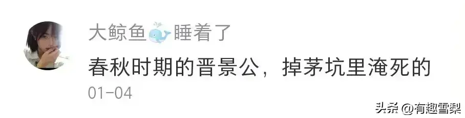 野史有多搞笑_野史有哪些_野史有可信度吗