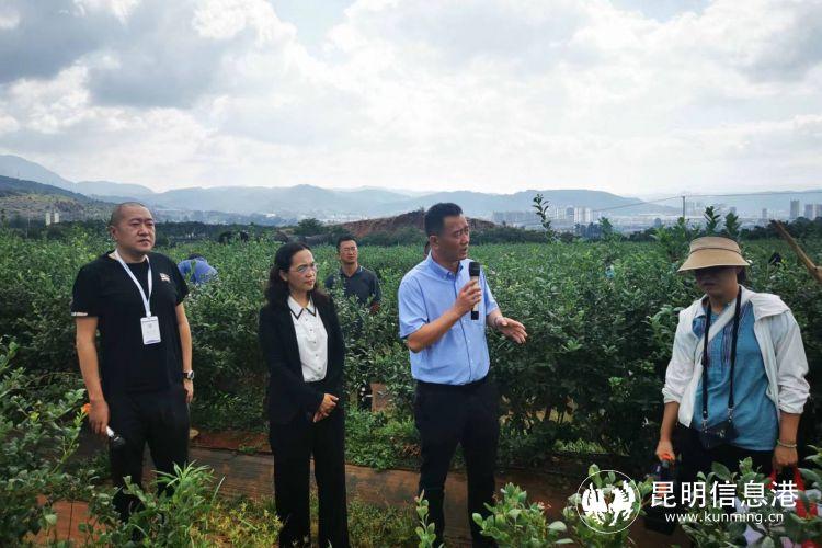 玉溪人力和社会保障局_玉溪市人力资源和社会保障局_玉溪市人力资源和社会保障