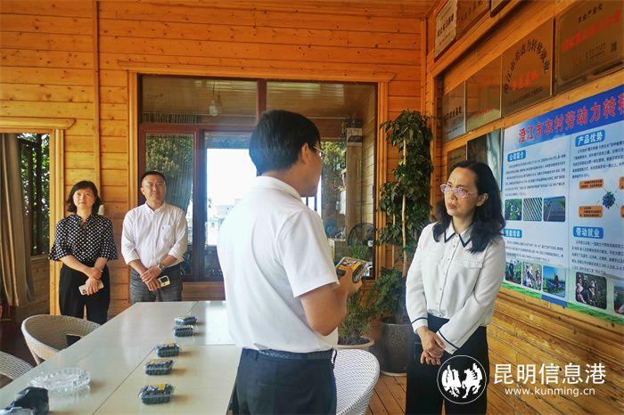 玉溪市人力资源和社会保障局_玉溪市人力资源和社会保障_玉溪人力和社会保障局