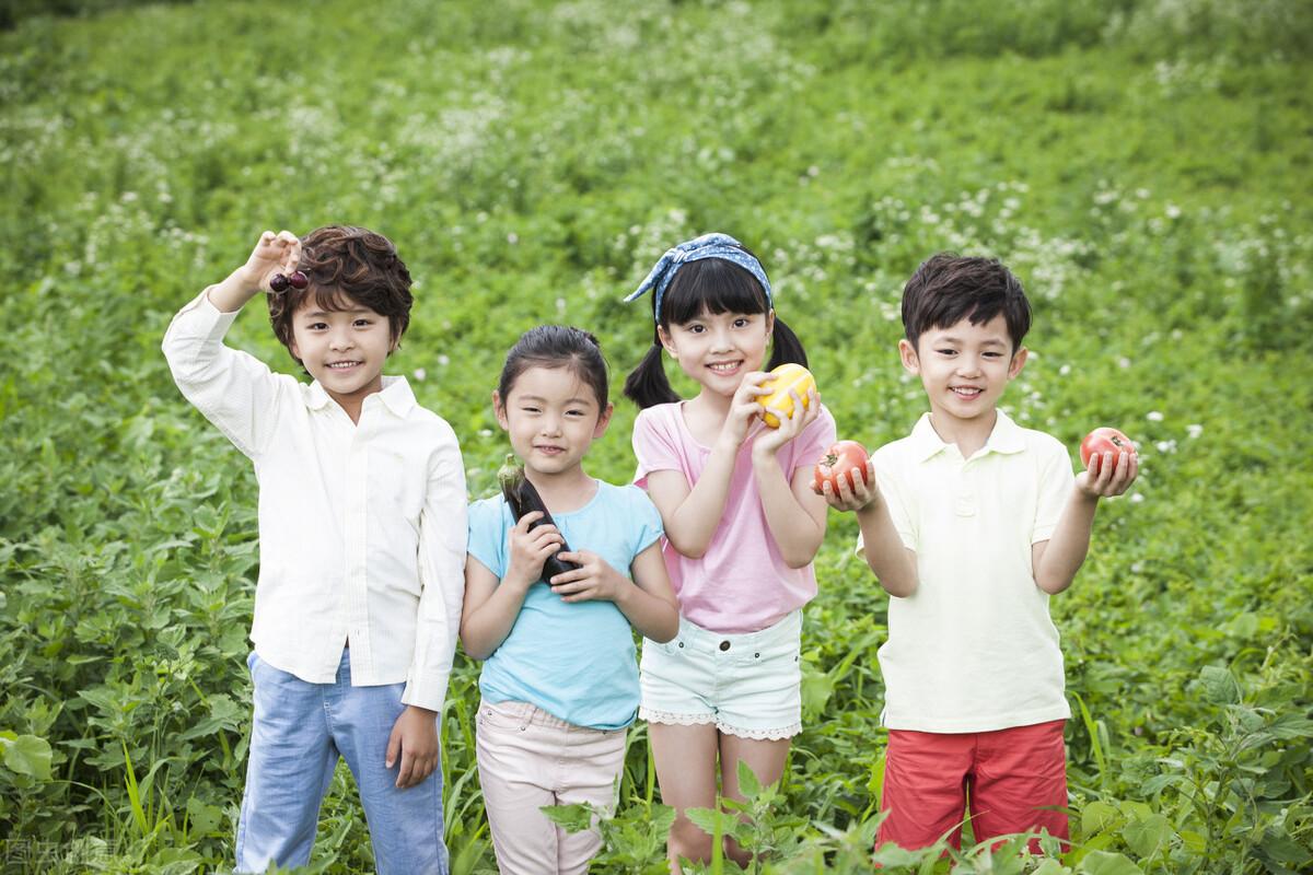 国学机目录手册_国学机目录_国学机