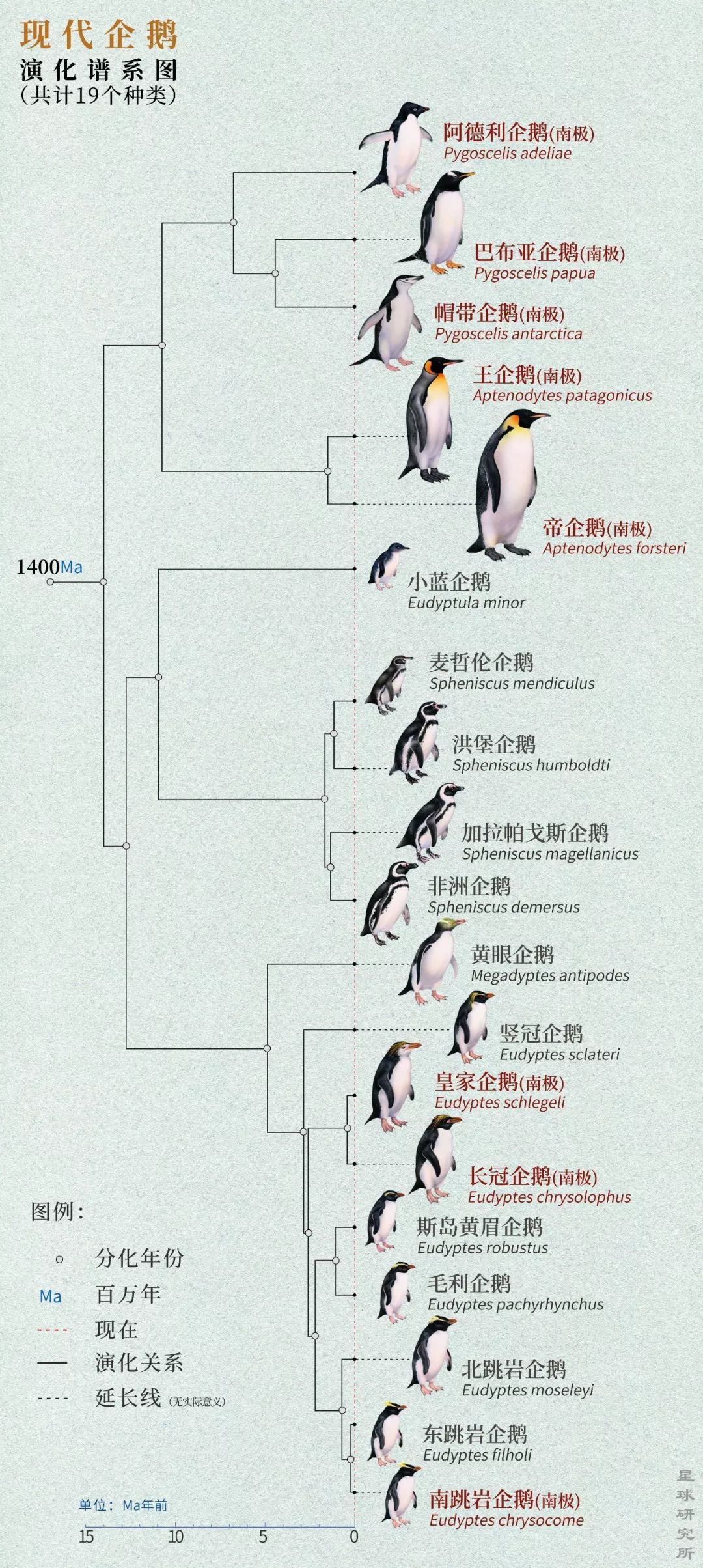 南极探索历史图片_南极探索历史_南极的探索历程