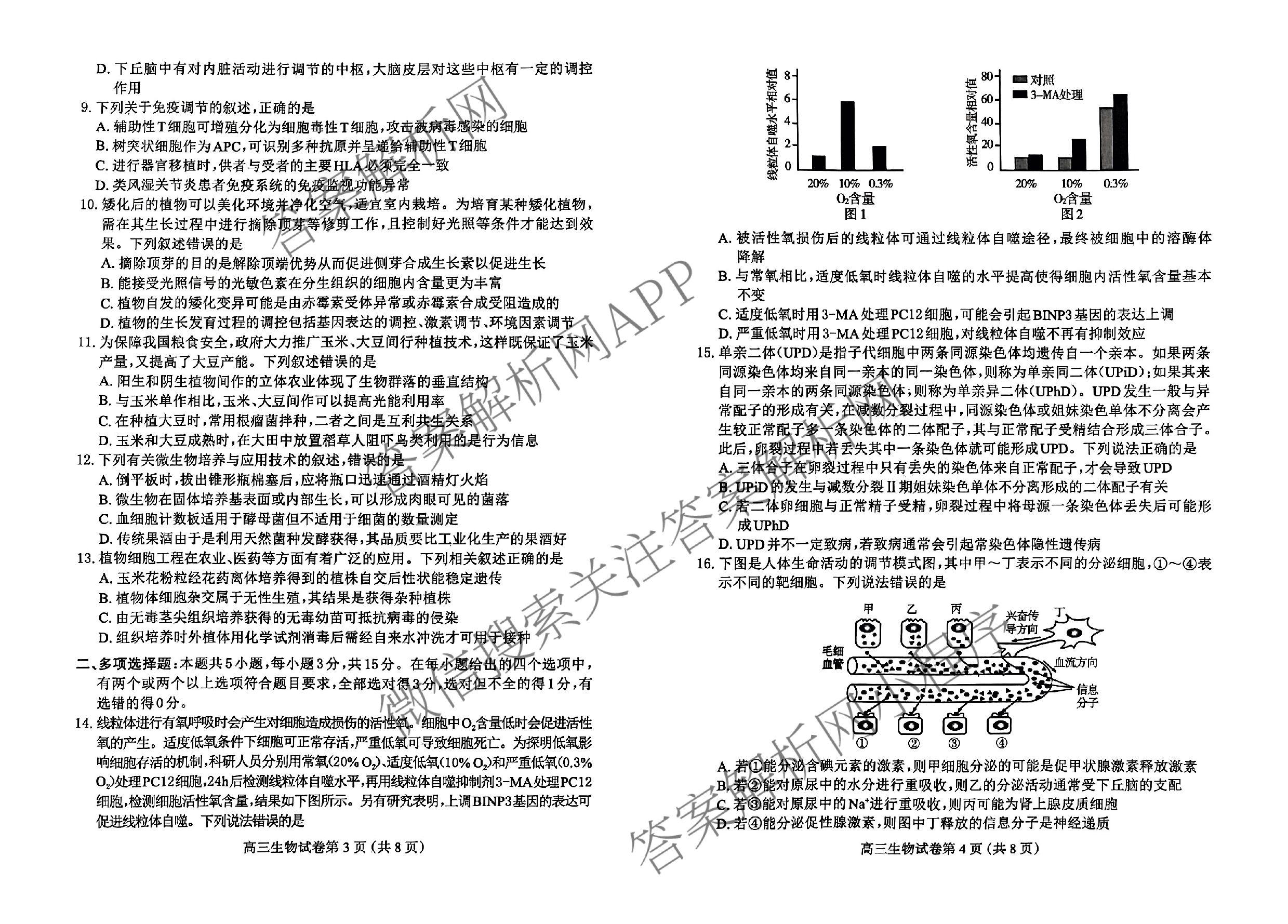 [保定一模]河北省保定市2024年高三第一次模拟考试各科答案及试卷: 含历史 政治 英语试卷解析生物试题