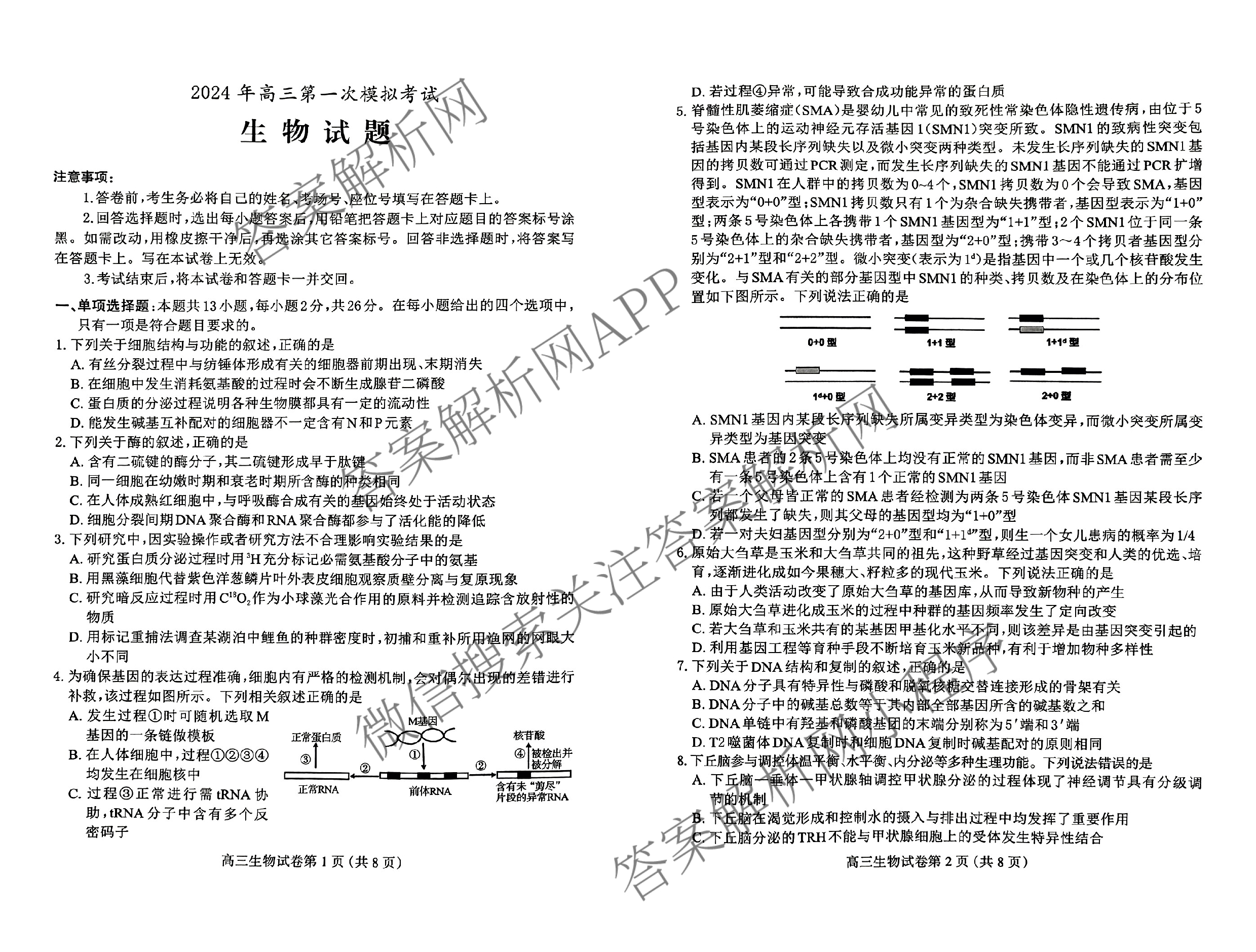 [保定一模]河北省保定市2024年高三第一次模拟考试各科答案及试卷: 含历史 政治 英语试卷解析生物试题