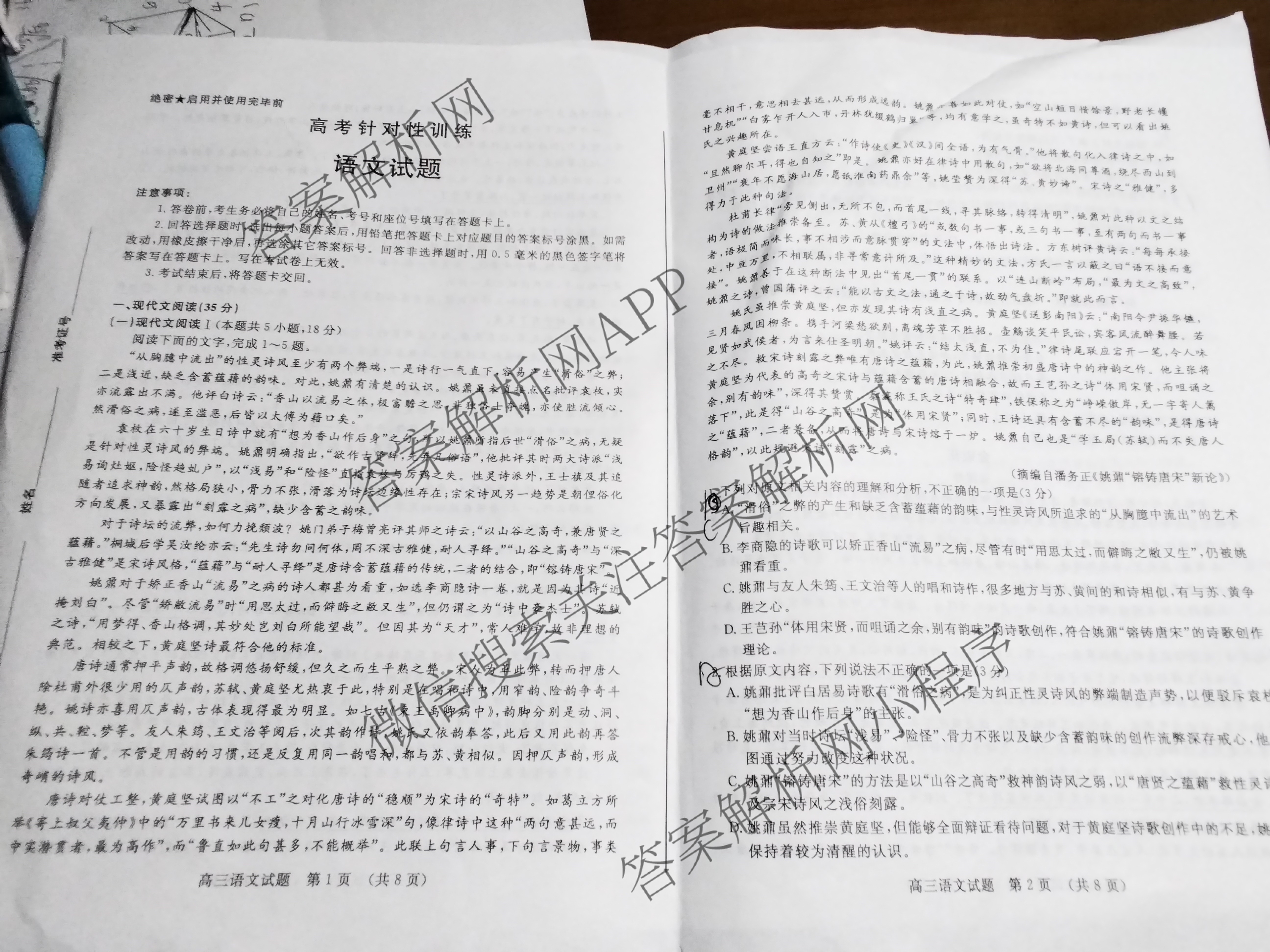 山东省实验中学2024届高三5月针对性考试（含英语、生物、历史等）语文试题