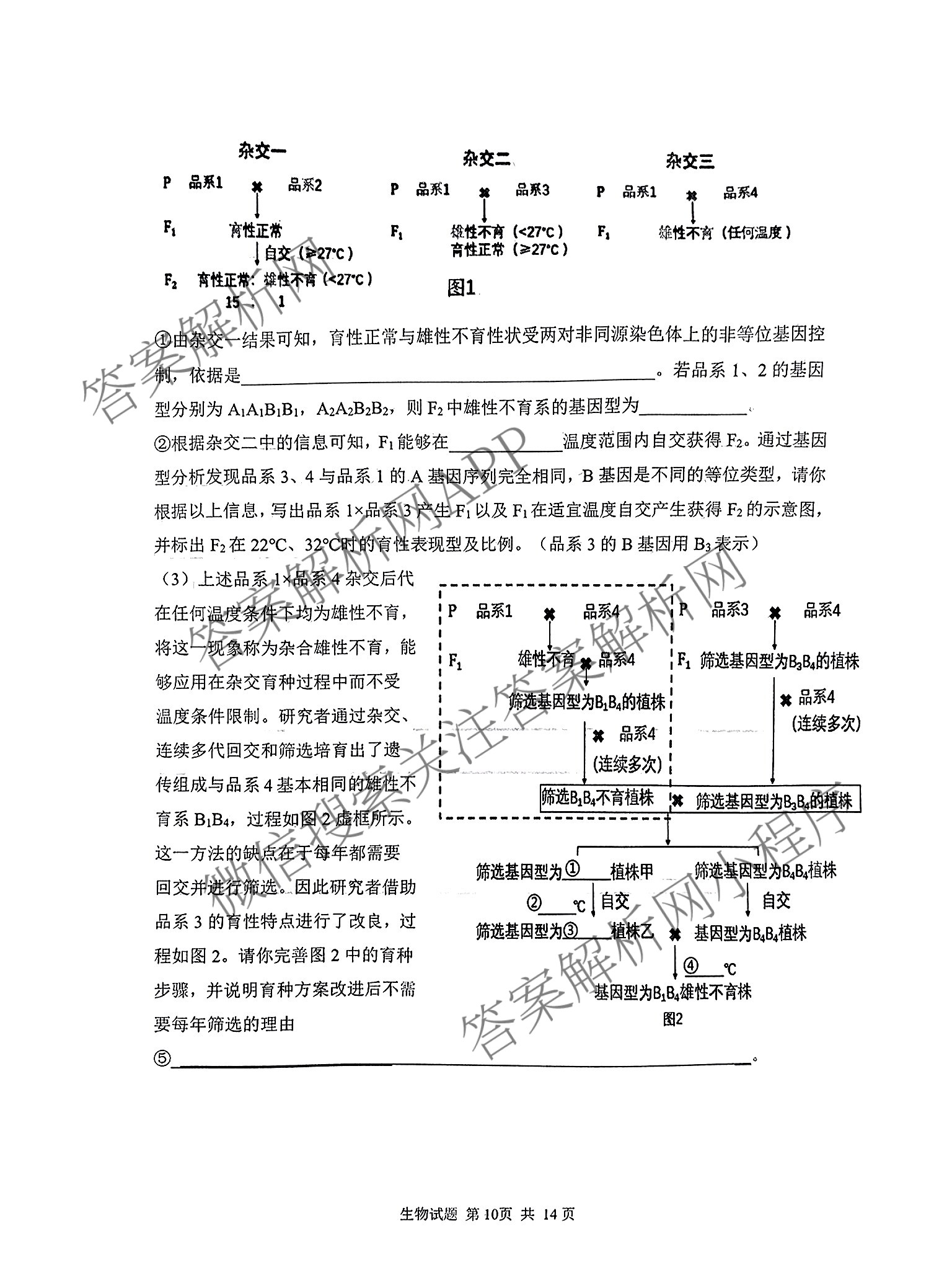 山东省实验中学2024届高三5月针对性考试（含英语、生物、历史等）生物试题