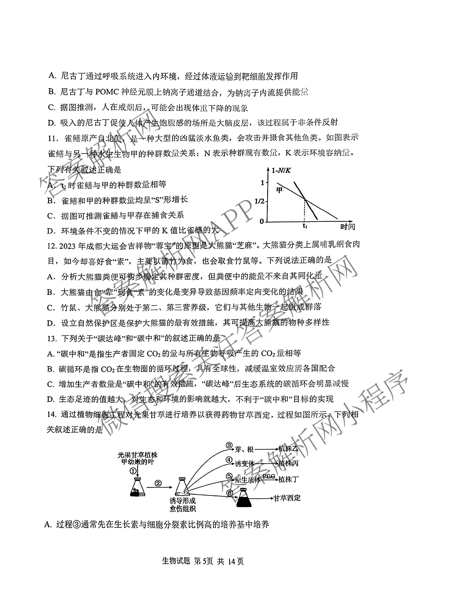 山东省实验中学2024届高三5月针对性考试（含英语、生物、历史等）生物试题