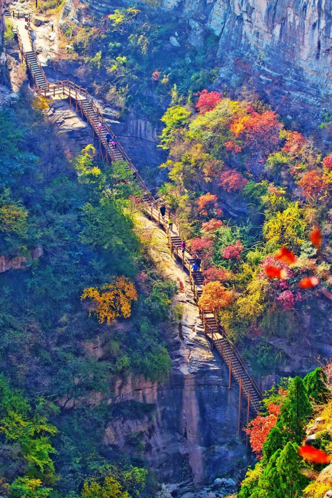 五大旅游板块，玩遍潍坊！安丘有这些景点~