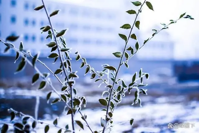 现在的社会是什么社会_社会现在是多少钱_现在的社会是