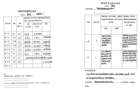 初中历史分层作业的设计意图_初中历史分层作业案例_初中历史分层作业设计研究