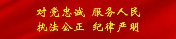 市域社会治理含义_市域社会治理包括什么_市域社会治理重大意义