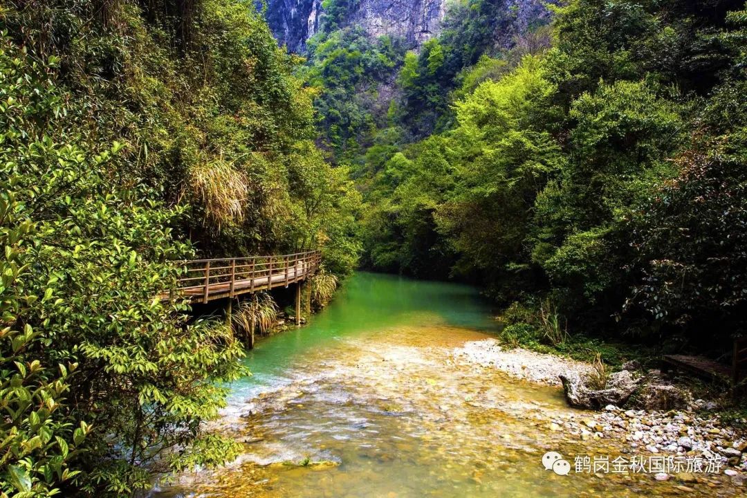 鹤岗历史名人_鹤岗名人录_鹤岗历史人物