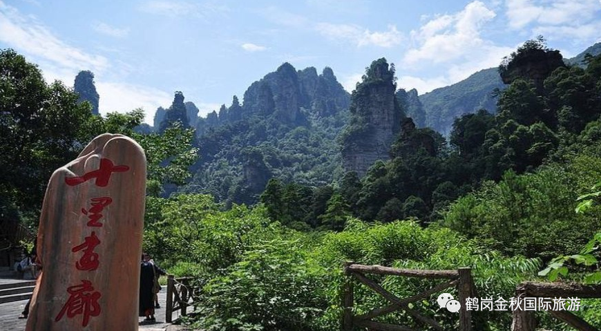 鹤岗名人录_鹤岗历史人物_鹤岗历史名人