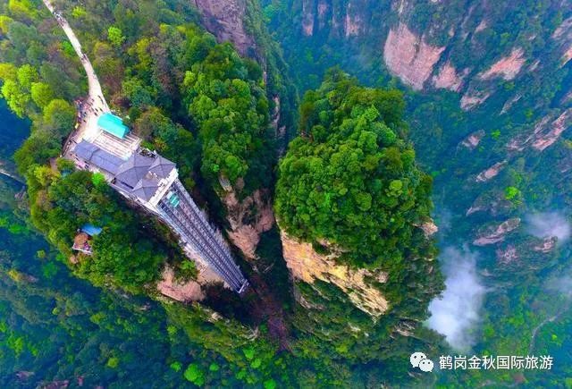 鹤岗历史人物_鹤岗名人录_鹤岗历史名人