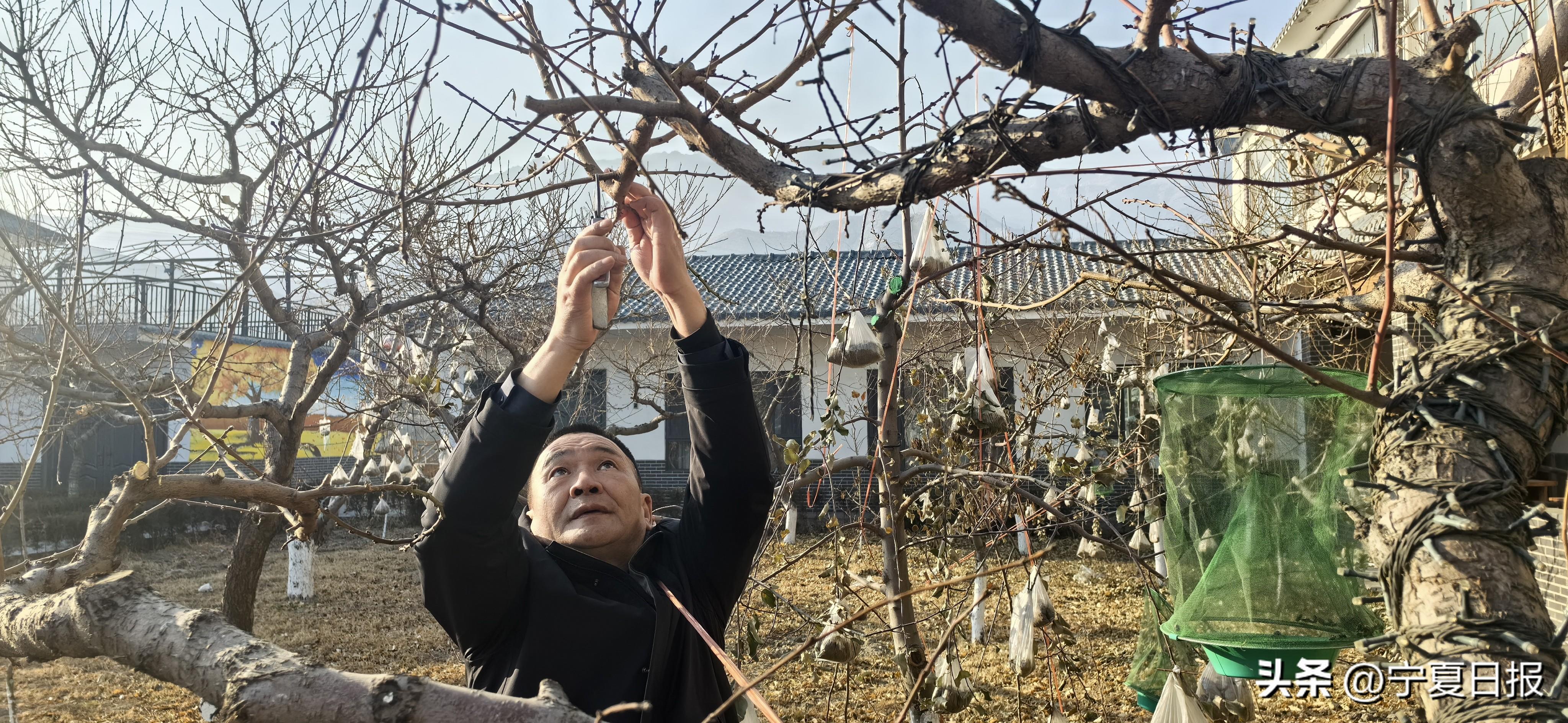 石嘴山市人力资源和社会保障局_石嘴山市人社局电话_石嘴山人力资源部和社会保障部