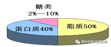 关于酶本质的探索历程_酶的探究历程_酶本质的探索历程李比希