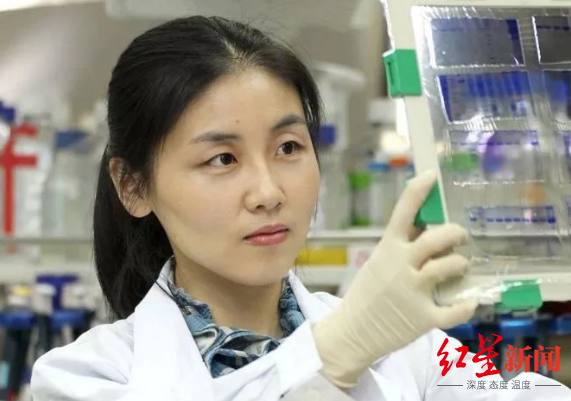 探索下载_探索下载安装最新版本_异星探索下载