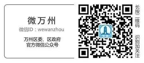 万州人力保障和社会保障局官网_万州人力与社会保障网_万州人力资源和社保局网