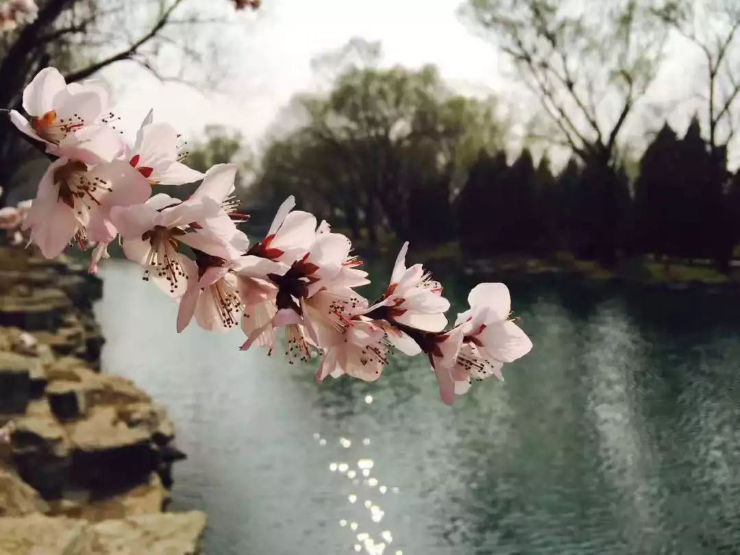 龙应台我们为什么要学文史哲_龙应台哲理句子_龙应台讲文学哲学历史