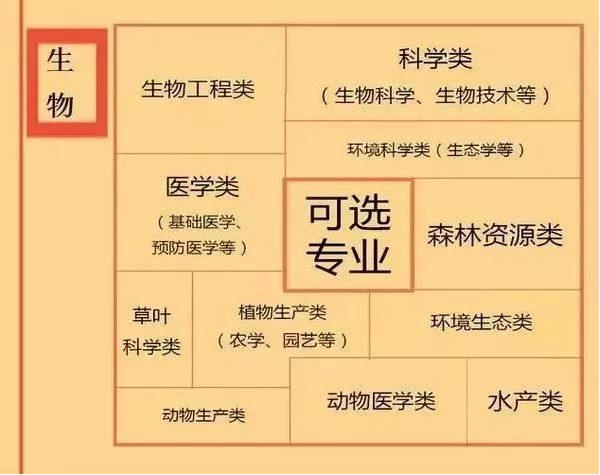 龙应台我们为什么要学文史哲_龙应台文学历史哲学_龙应台哲理句子