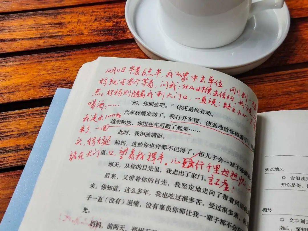 龙应台讲文学哲学历史_龙应台我们为什么要学文史哲_龙应台文学历史哲学