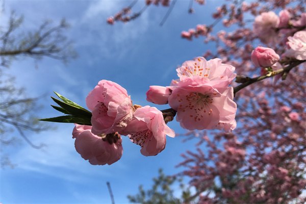 中国学生_中国学生体质健康_中国学生信息网