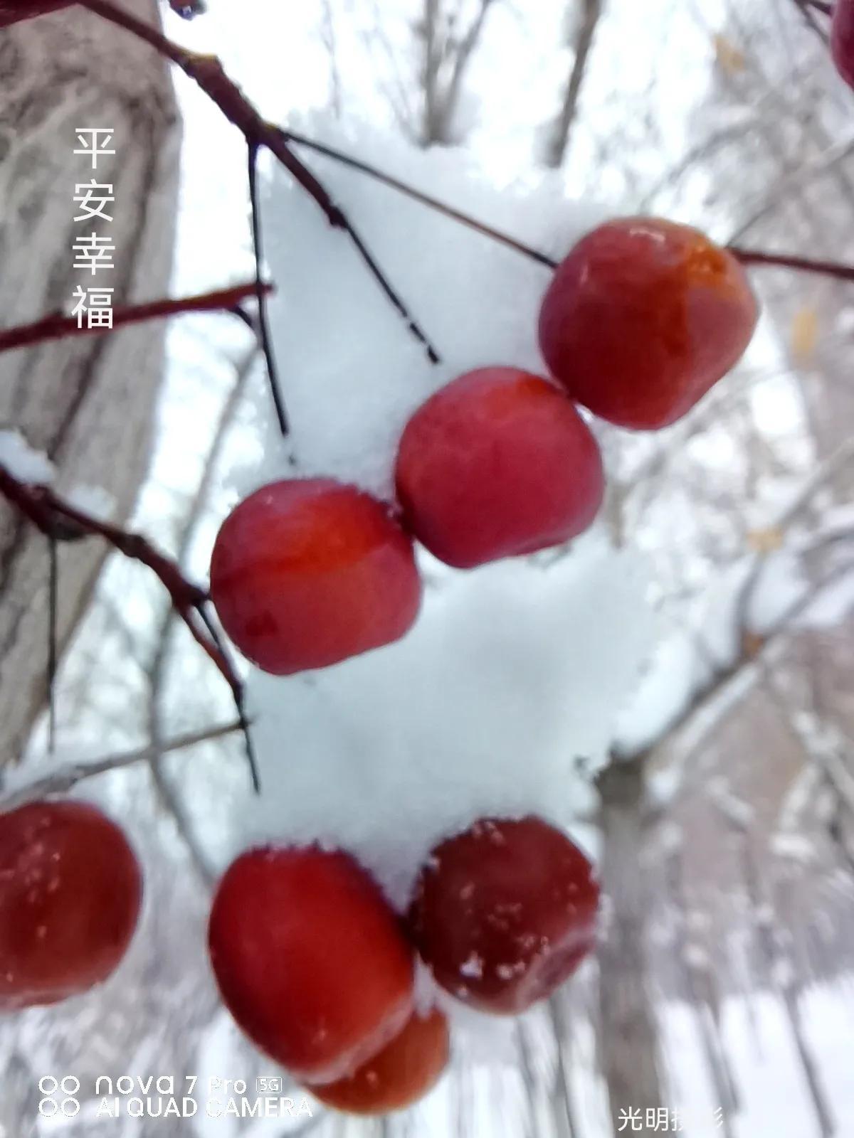 文史编辑部电话_文史编辑部_文史资料编辑室