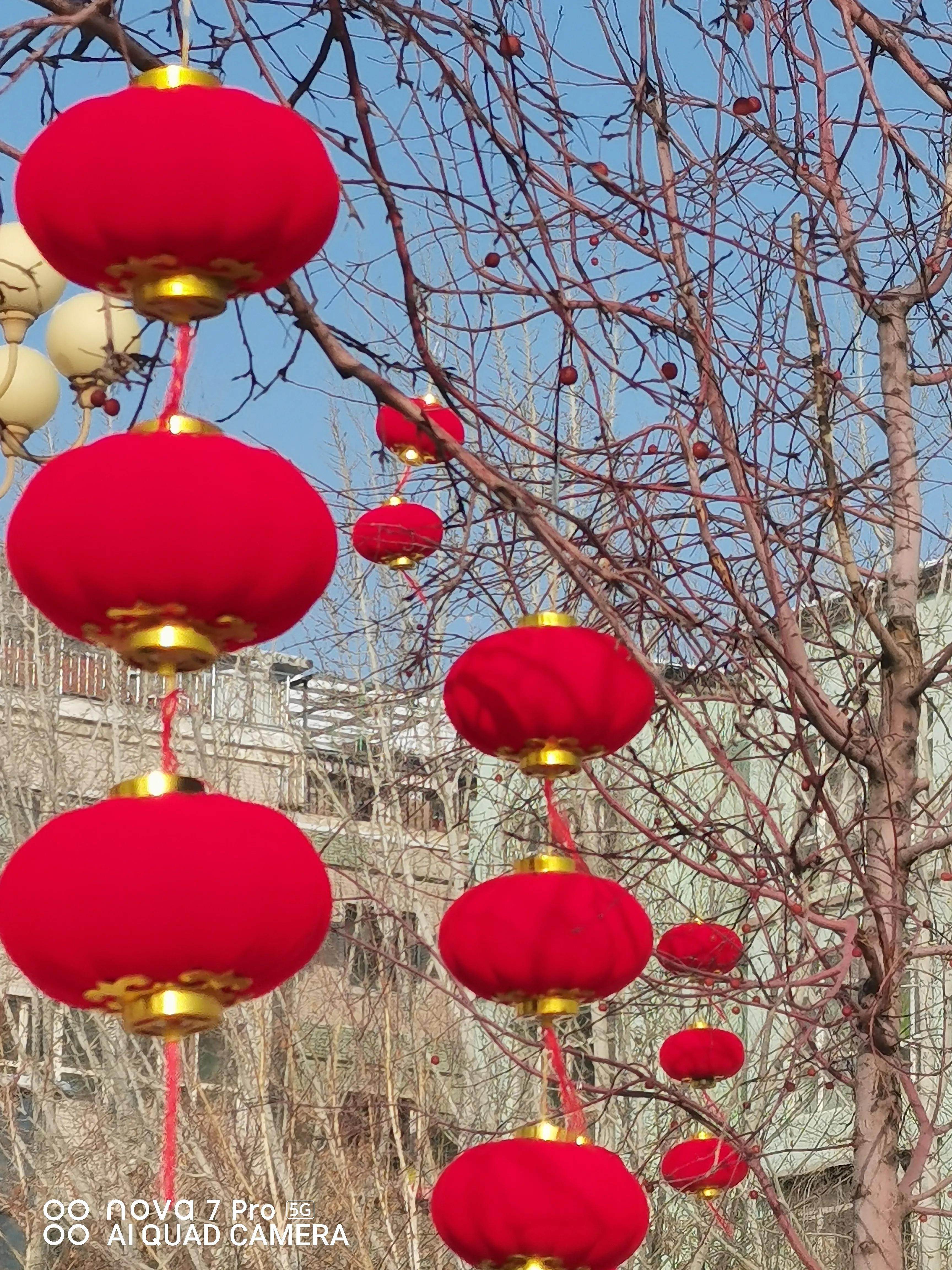 文史编辑部电话_文史编辑部_文史资料编辑室