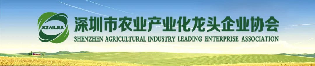 深圳社会组织管理局_深圳市社会组织总会_深圳社会组织
