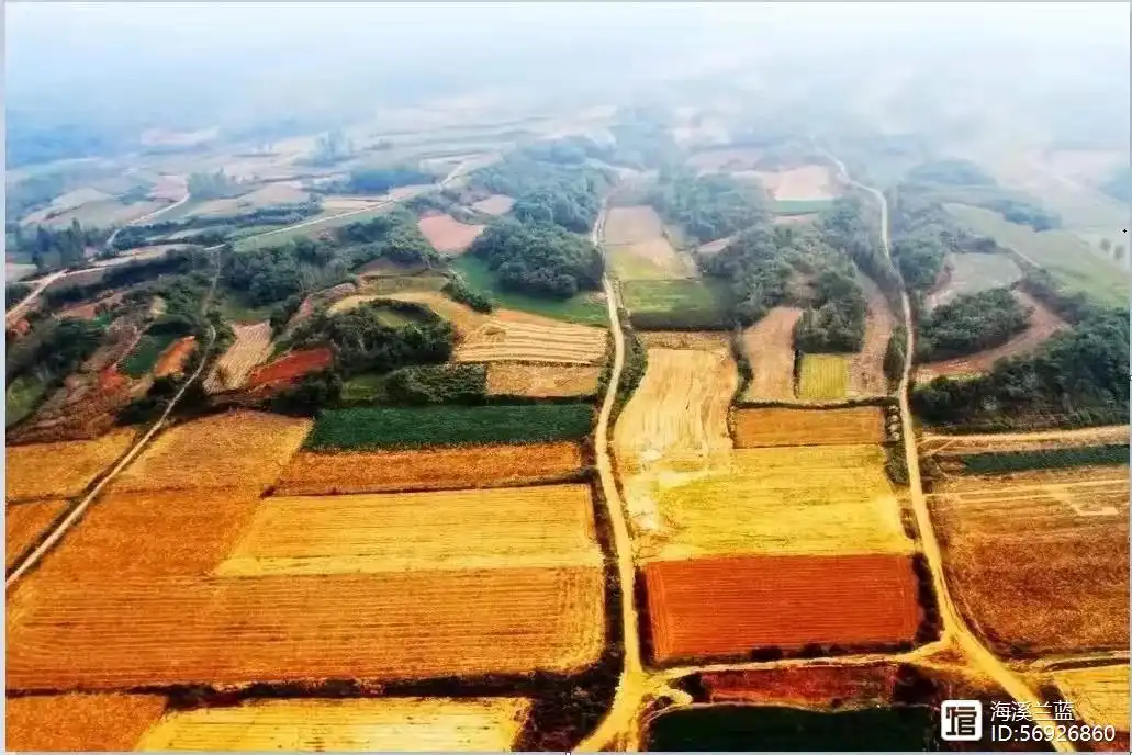 变迁的乡土社会的社会性质_乡土社会的变迁_变迁的乡土社会