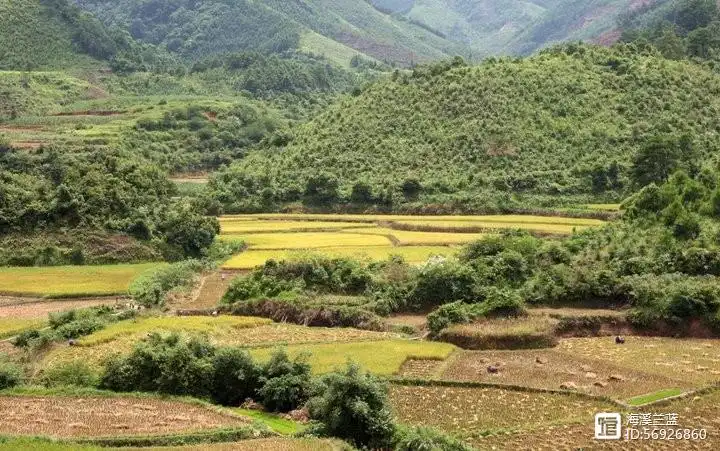 变迁的乡土社会_变迁的乡土社会的社会性质_乡土社会的变迁