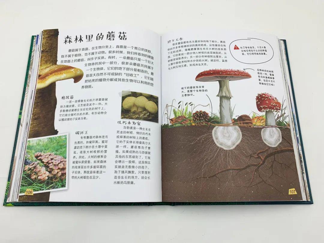 探索科学百科丛书_探索科学百科_探索科学百科书籍