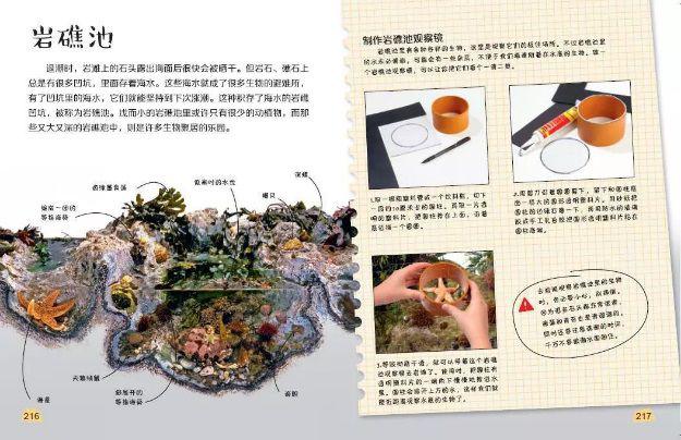 探索科学百科丛书_探索科学百科_探索科学百科书籍