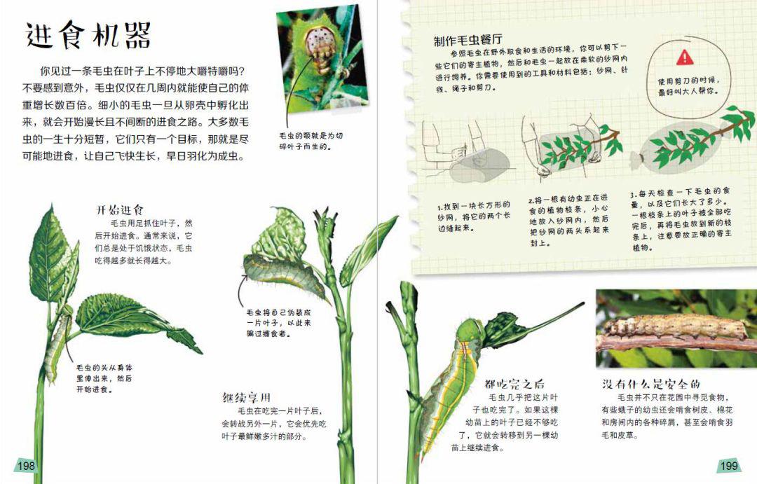 探索科学百科丛书_探索科学百科_探索科学百科书籍
