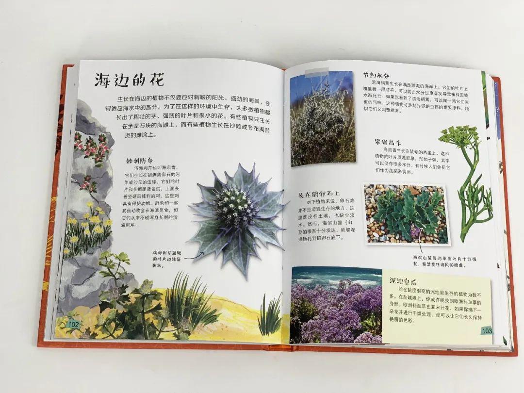 探索科学百科丛书_探索科学百科_探索科学百科书籍