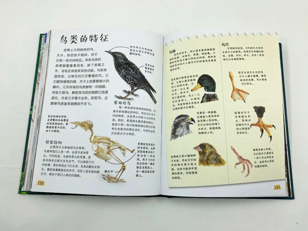 探索科学百科丛书_探索科学百科_探索科学百科书籍