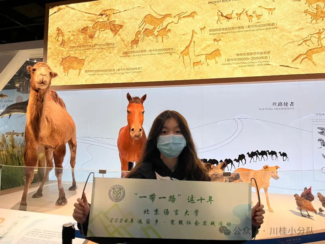 探索历史的奥秘_探索奥秘是什么节目_探索奥秘