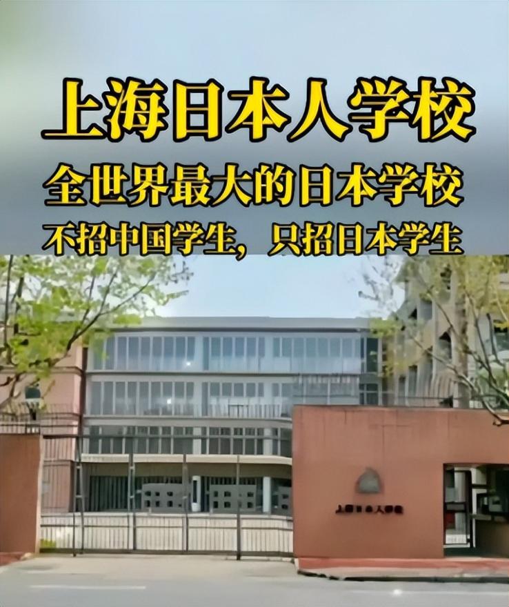 国学生_国学生与太学生的区别_国学生相当于什么官